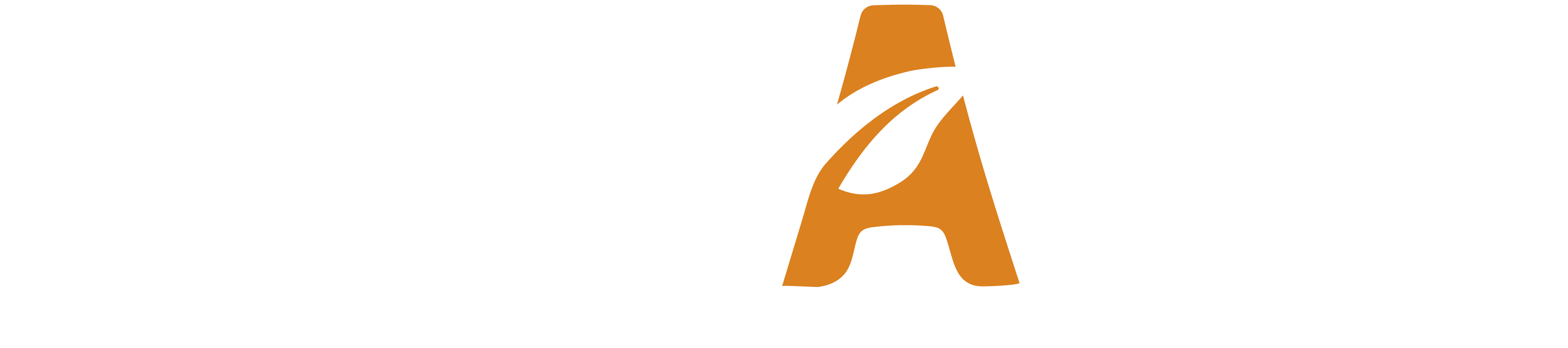 Xelvana Motivo